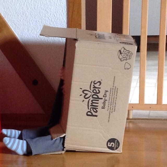 Best. Toy. Ever. #boys #whereismyson #whyspendmoneyonactualtoys