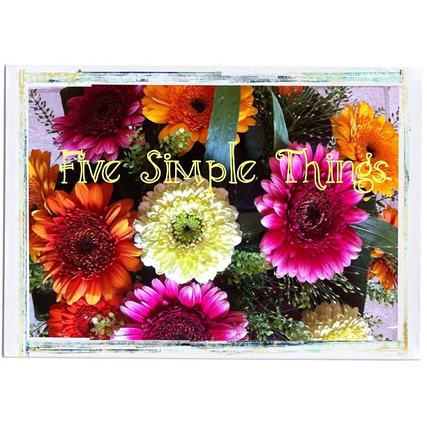 *New Blog Post* full link in profile. #gratitude #fivesimplethings #birthday #gerberdaisies